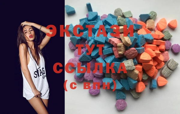 ECSTASY Богданович